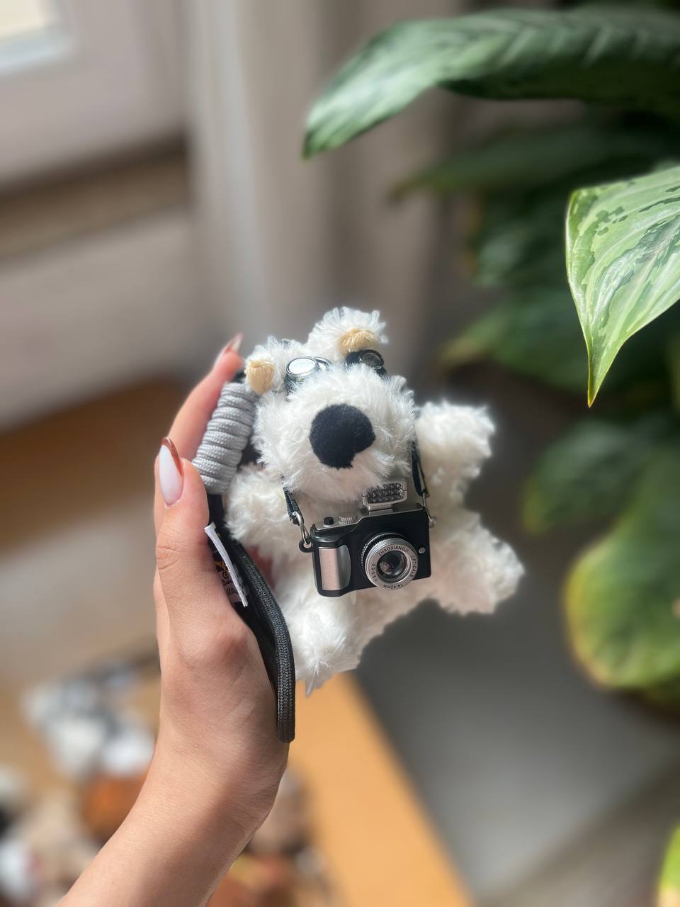 چارم بگ سگ دوربین دار